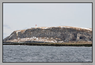Hornya; The bird cliff and the lighthouse