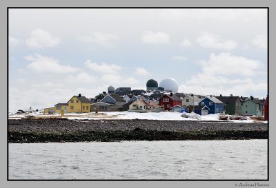 Hasselneset