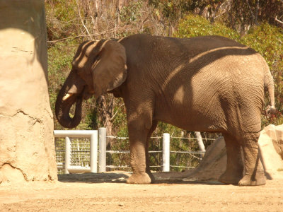 San Diego Zoo 7779.jpg