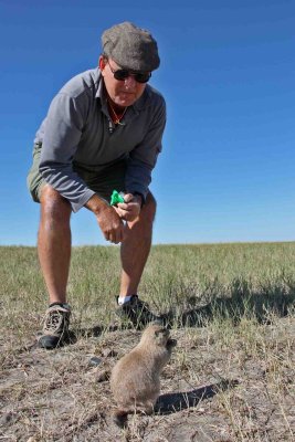 IMG_0224 Bob Prairie Dog.jpg