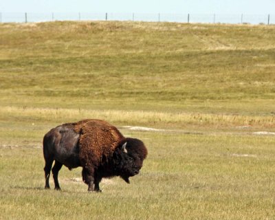 Badlands National Park