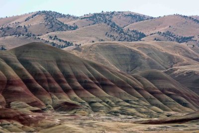 IMG_0116 John Day Fossil Beds