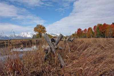 IMG_0127 Fence at Oxbow