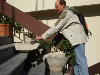 Bob playing with cats on the steps of the museum