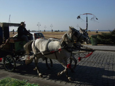 Carriage rides were available along the waterfront