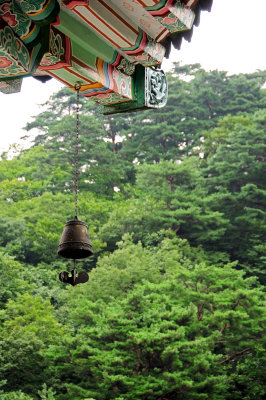 DSC_0330.jpg