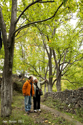 DSC_1068_rs.jpg