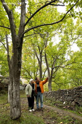 DSC_0006_rs.jpg