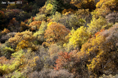 DSC_0191_rs.jpg
