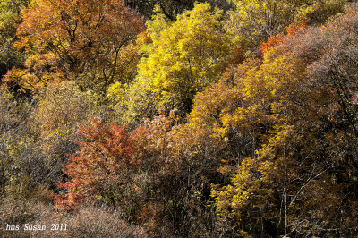 DSC_0195_rs.jpg
