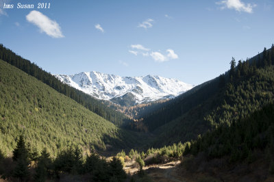 DSC_0227_rs.jpg