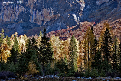 DSC_0288_rs.jpg