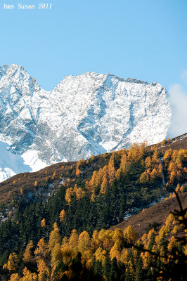 DSC_0310_rs.jpg