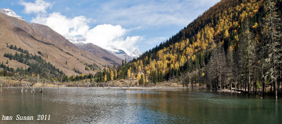 DSC_0411_rs.jpg