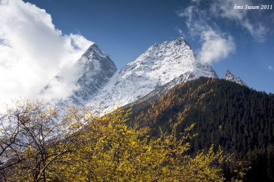 DSC_0417_rs.jpg