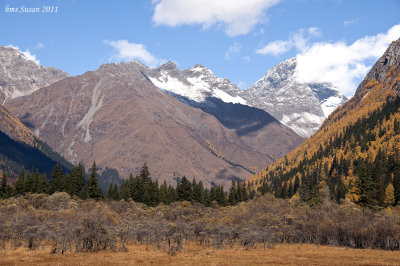 DSC_0516_rs.jpg
