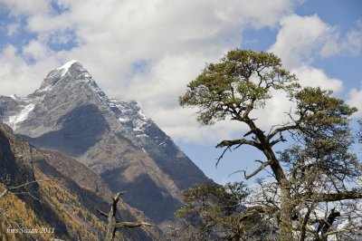 DSC_0583_rs.jpg