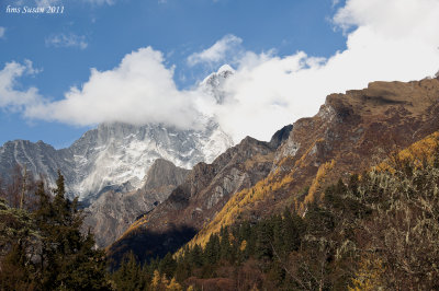 DSC_0629_rs.jpg