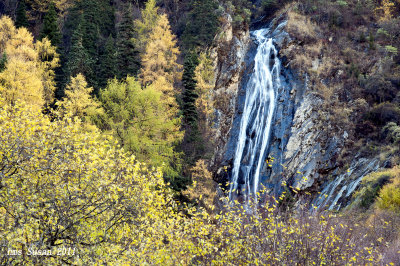 DSC_0700_rs.jpg