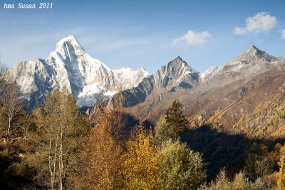 DSC_0890_rs.jpg