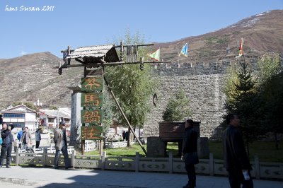 DSC_0498_rs.jpg
