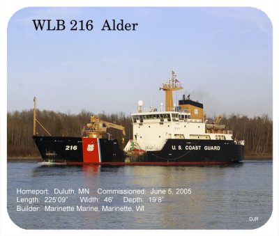 WLB 216 Alder