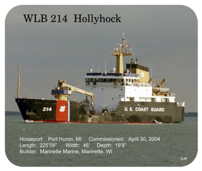 WLB 214 Hollyhock