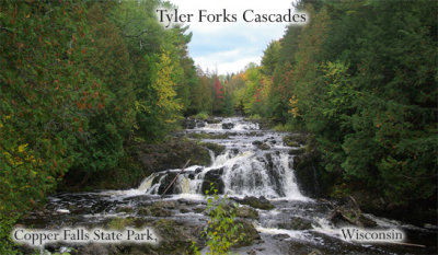 Tyler Forks Cascades