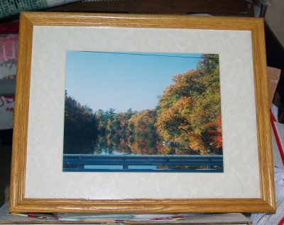 framed_pictures_for_sale