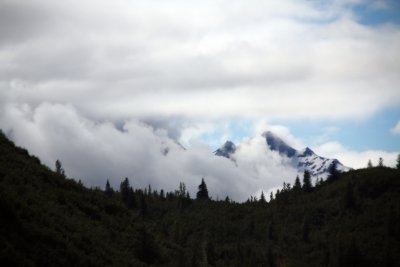 IMG_9436 copy.jpg