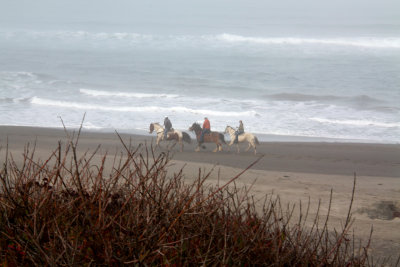 Home At The Beach...... Fort Bragg, Ca