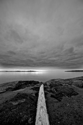14mm 002.jpg