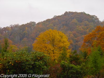DSC04879.jpg