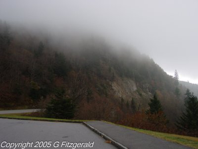 DSC04880.jpg