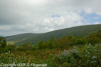 IMGP0178.jpg