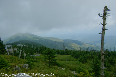 IMGP0195.jpg