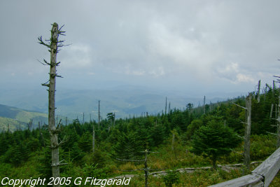 IMGP0196.jpg