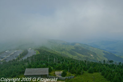 IMGP0201.jpg