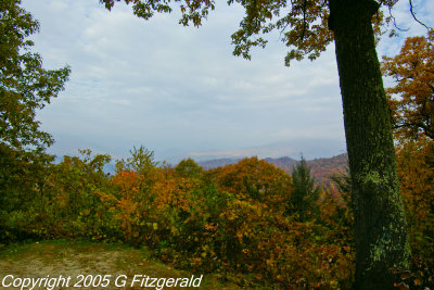 g4/89/958089/3/132805411.5ik22uJM.jpg