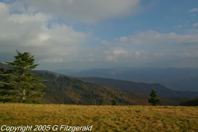 g4/89/958089/3/132806334.MeOCRgIa.jpg