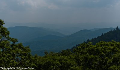 IMGP9378.jpg
