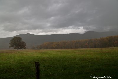 g4/89/958089/3/139239559.4T3bGN5D.jpg