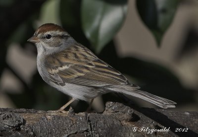 IMGP8320-3.jpg