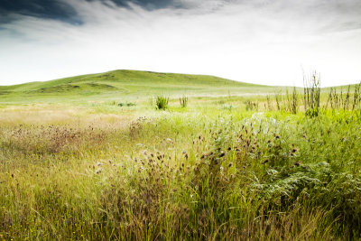 Irvine Open Space Preserve 002