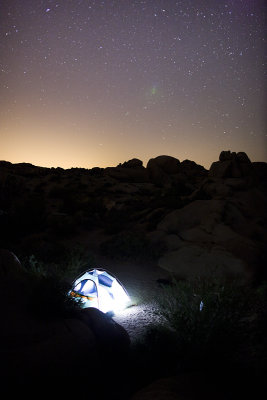 Joshua Tree 021