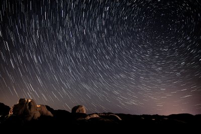 Joshua Tree 022