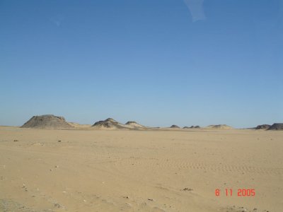 61.jpg