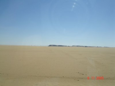 63.jpg