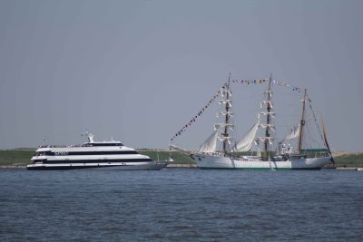 IMG_8123.jpg