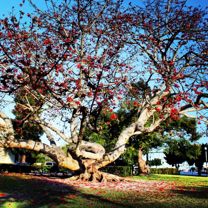 2002-08-01 18:08